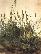 Albrecht Durer The Great Ture France oil painting artist